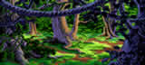 Jungle