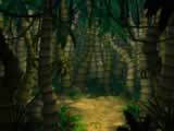 Jungle